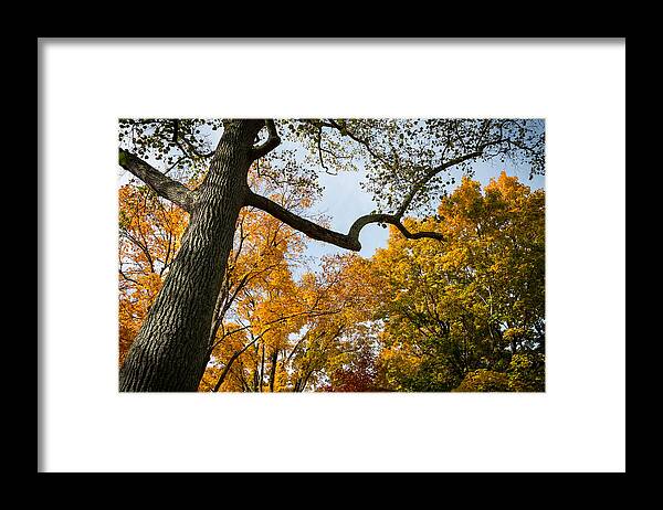 Fall Framed Print featuring the photograph Heart of Fall by Glenn DiPaola