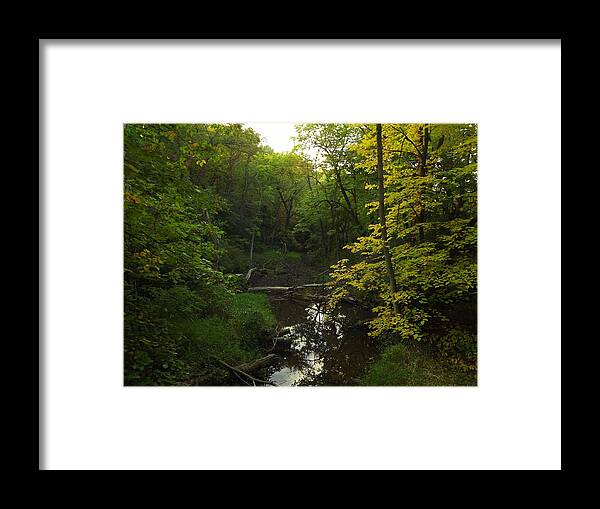 Heart Framed Print featuring the photograph Heart of the Woods by Viviana Nadowski