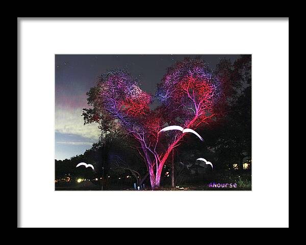 Lightpainting Framed Print featuring the photograph Heart Tree and Birds by Andrew Nourse