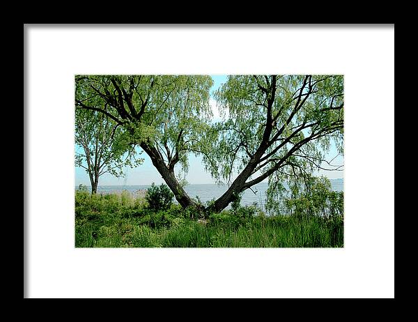 Usa Framed Print featuring the photograph Heart Tree on Lake Saint Clair by LeeAnn McLaneGoetz McLaneGoetzStudioLLCcom