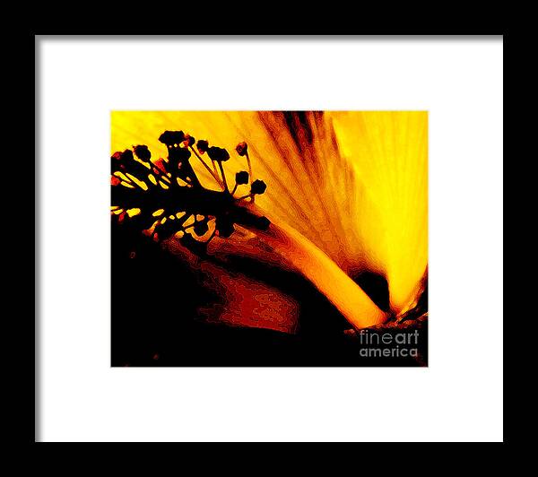 Flower Framed Print featuring the photograph Heat by Linda Shafer