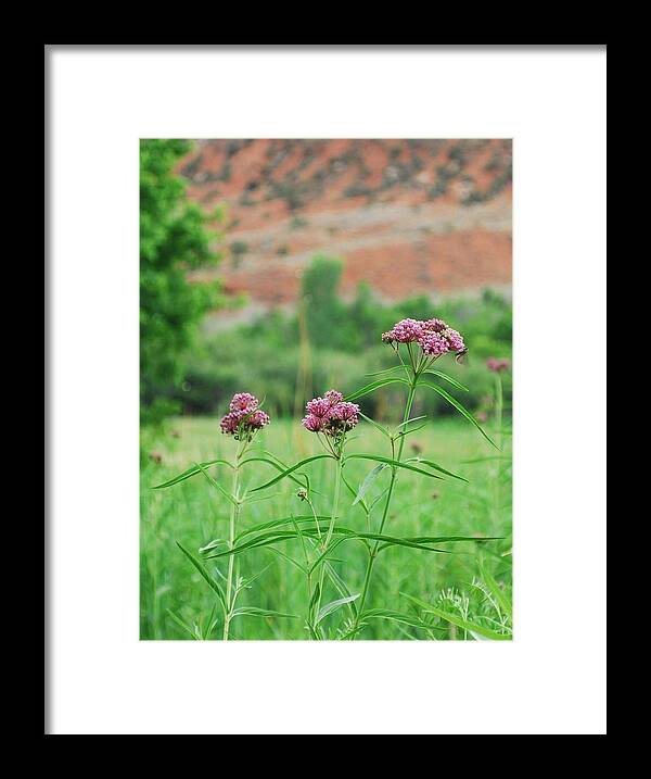 Dinosaur National Monument Framed Print featuring the photograph Heat Retreat by Brad Hodges