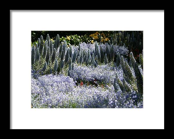 Spring Framed Print featuring the photograph Heavenly Blue by Living Color Photography Lorraine Lynch