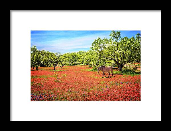 Heaven Framed Print featuring the photograph Heavenly Pasture in the Hill Country by Lynn Bauer