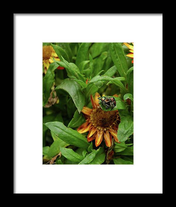 Heimlich Maneuver Framed Print featuring the photograph Heimlich Maneuver by Gregory Blank