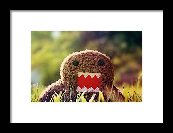 Domo Framed Print featuring the photograph Hello by Candace Roberts