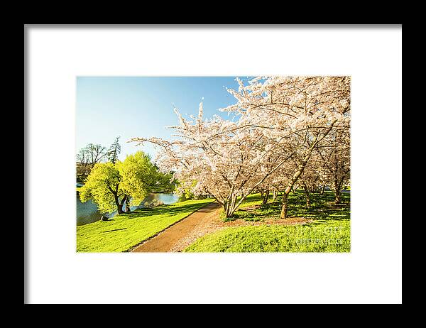 Park Framed Print featuring the photograph Hello, I'm in Deloraine by Jorgo Photography
