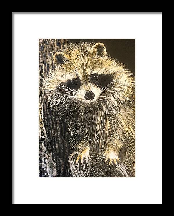 Racoon Framed Print featuring the drawing Hello by Stella Marin