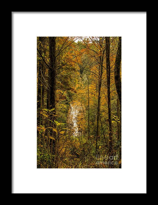 Helton Falls Framed Print featuring the photograph Helton Falls through the leaves by Barbara Bowen