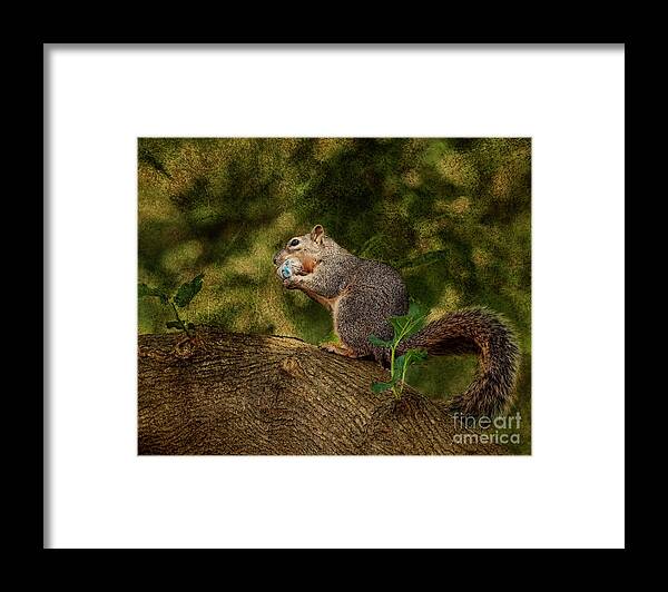 Squirrel Framed Print featuring the photograph Her Treasure by Joan Bertucci