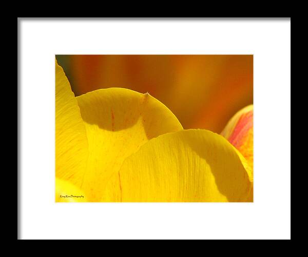 Tulip Framed Print featuring the photograph Here Within The Heart of Spring by Roxy Riou