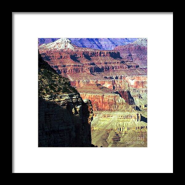 Photograph Framed Print featuring the photograph Heritage by Shelley Jones