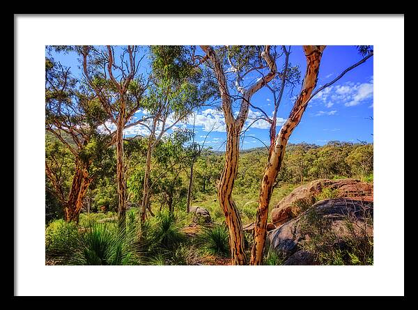 Mad About Wa Framed Print featuring the photograph Heritage View, John Forest National Park by Dave Catley
