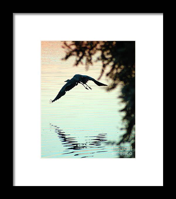 Clay Framed Print featuring the photograph Heron At Dusk by Clayton Bruster