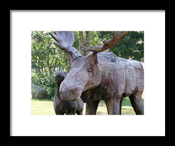 Photograph Framed Print featuring the photograph Hey someone stole my antlers by Lois Lepisto