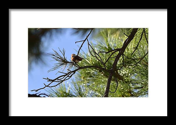 Linda Brody Framed Print featuring the photograph Hey Turn Around by Linda Brody