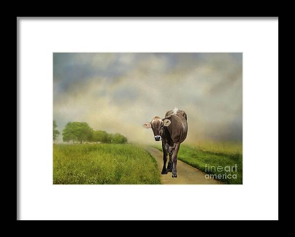 Cow Framed Print featuring the photograph Hi Guys by Eva Lechner