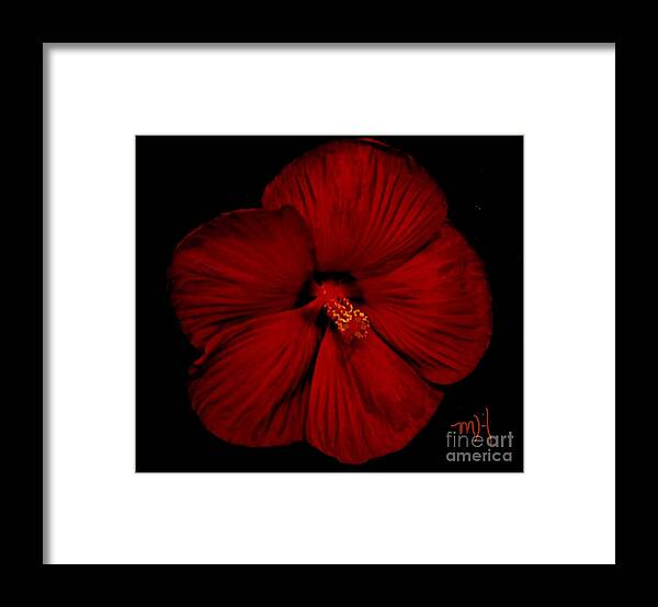 Photo Framed Print featuring the photograph Hibiscus By Moonlight by Marsha Heiken