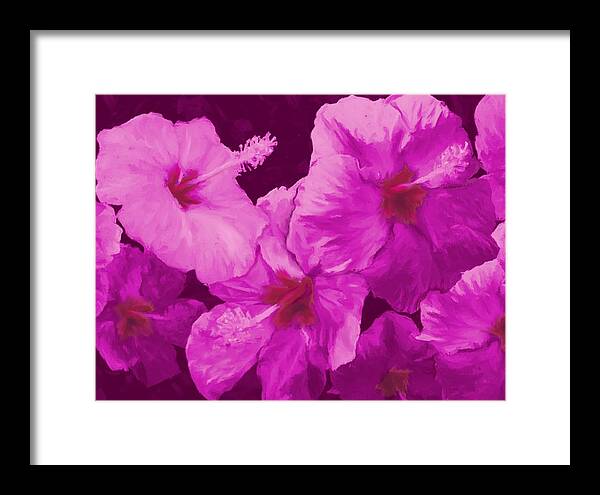 Hibiscus Framed Print featuring the painting Hibiscus, Pink by Stephen Jorgensen