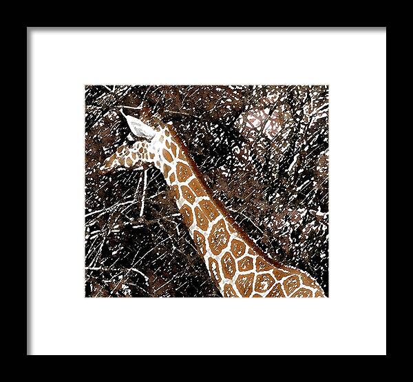 Giraffe Framed Print featuring the photograph Hidden Treasure by Rodger Mansfield