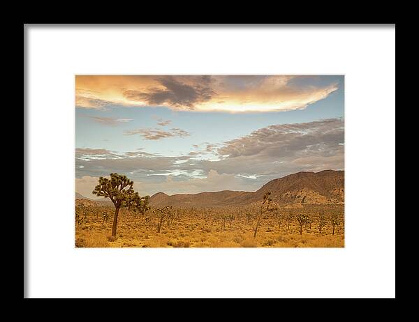 Joshua Tree Sunrise Framed Print featuring the photograph Hidden valley sunrise by Kunal Mehra