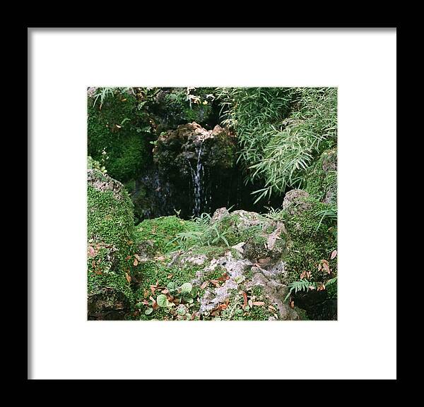 Nature Framed Print featuring the photograph Hidden Waterfall by Dean Triolo