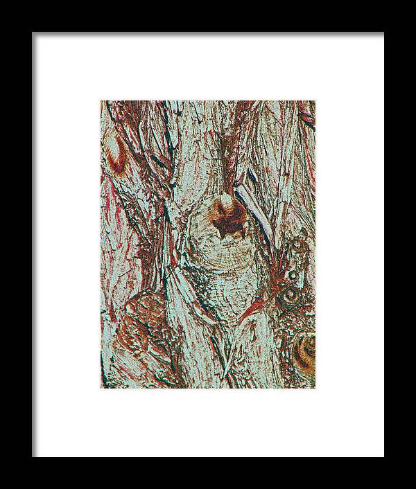 Abstract Framed Print featuring the photograph Hiding Figures by Lenore Senior