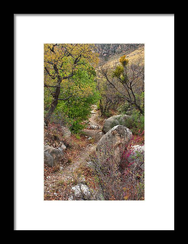 Guadalupe Mountains Framed Print featuring the photograph High Desert Spring 2 by Stephen Vecchiotti
