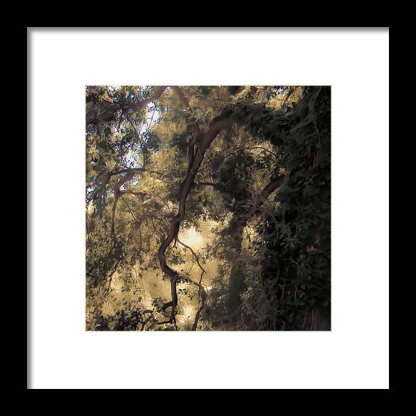 Trees; Plants; Golden Light; Sacramento Framed Print featuring the photograph High Noon at The Little Park by Georg Kickinger