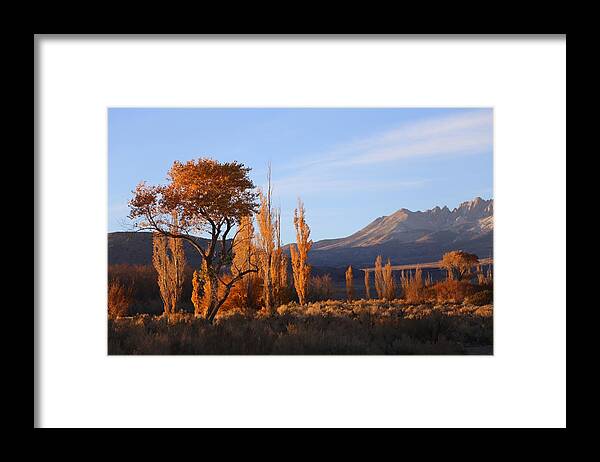 High Sierra Mountains Framed Print featuring the photograph High Sierra Safari by Tammy Pool