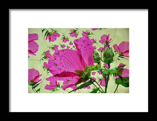 Pink Hibiscus Framed Print featuring the photograph High Tea with Pink Hibiscus by Rose Hill
