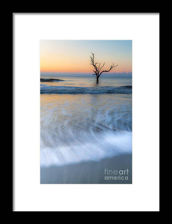 Tree Framed Print featuring the photograph High Water by Harry B Brown