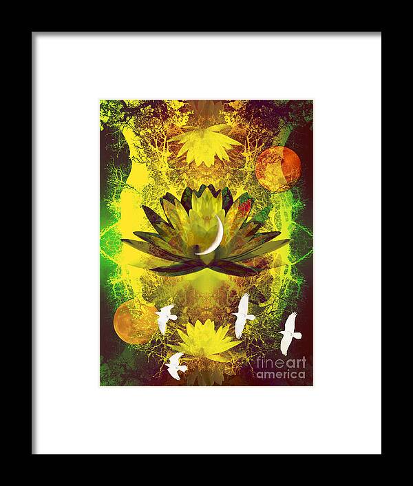 Water Lilly Framed Print featuring the photograph Higher Self Frequency by Robert Ball
