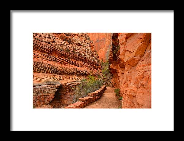 Hike To Observation Point In Zion National Park Framed Print featuring the photograph Hike to Observation Point by Raymond Salani III