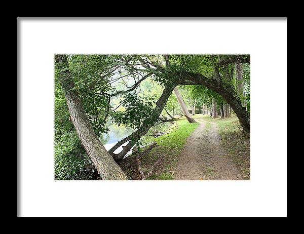 Lake Framed Print featuring the photograph Hiking Trail and Road by Ellen Tully