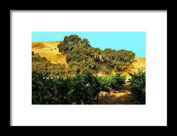 California Framed Print featuring the photograph hill side vineyard 'n Oaks by Gary Brandes