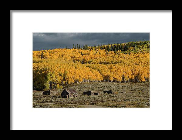 A Blazing Hillside Of Aspen Trees Seems To Stand Guard Above A Collection Of Abandoned Ranch Buildings.  Framed Print featuring the photograph Hills Afire by Dana Sohr