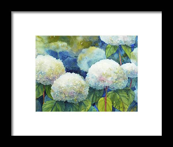 Hydrangeas Framed Print featuring the painting Annabelle Hydrangeas 1 by Janet Zeh