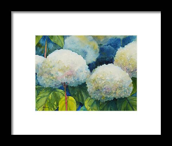 Hydrangea Art Framed Print featuring the painting Annabelle Hydrangeas 3 by Janet Zeh
