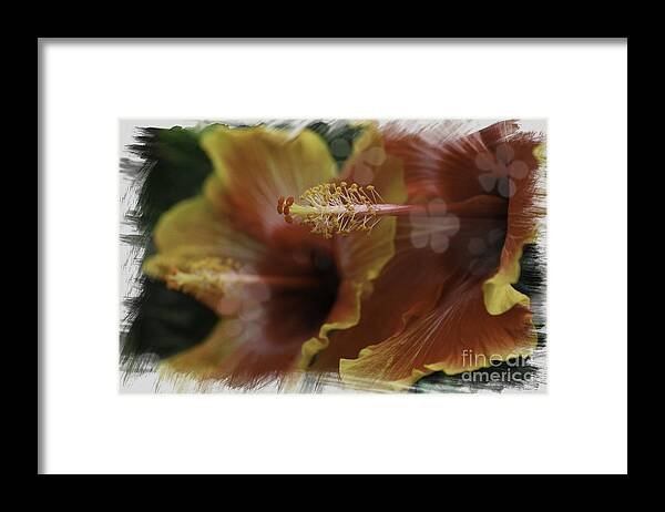 Hibiscus Framed Print featuring the photograph Hippi Hibiscus by Lori Mellen-Pagliaro