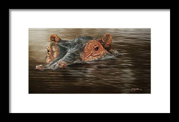 Hippo Framed Print featuring the painting Hippo in the River by Kathie Miller