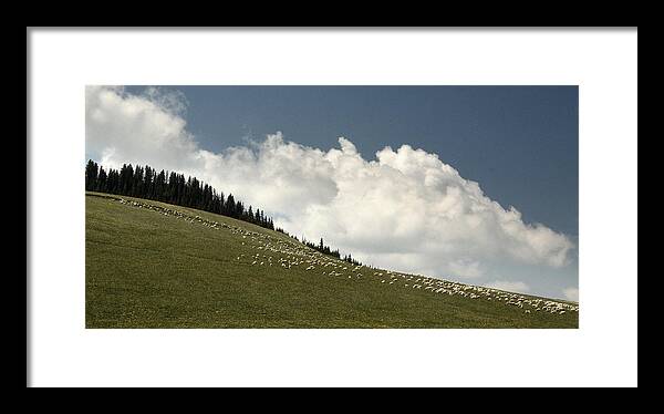 God Framed Print featuring the photograph HIS Pastures.. by Al Swasey