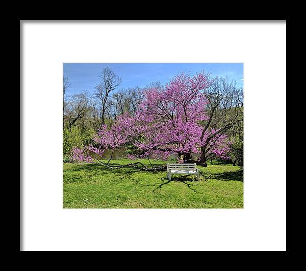 Spring Framed Print featuring the photograph Historic Walnford by Sami Martin