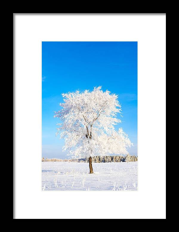 Hoar Frost Framed Print featuring the photograph Hoar Frost by Nebojsa Novakovic