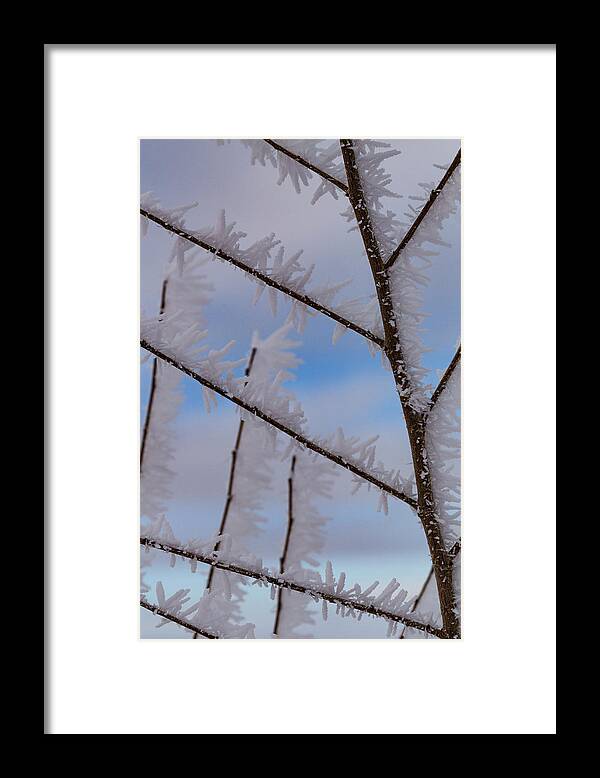 Frost Framed Print featuring the photograph Hoarfrost Hopscotch by Deborah Hughes