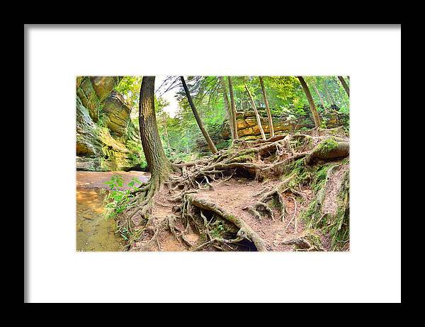 Hocking Hills Ohio Old Man's Gorge Trail Framed Print featuring the photograph Hocking Hills Ohio Old Man's Gorge Trail by Lisa Wooten