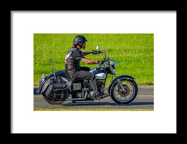  Framed Print featuring the photograph hog by Brian Stevens