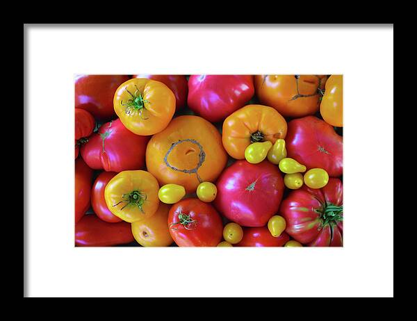 Heirloom Tomatoes Framed Print featuring the photograph Homegrown Heirloom Tomatoes by Polly Castor