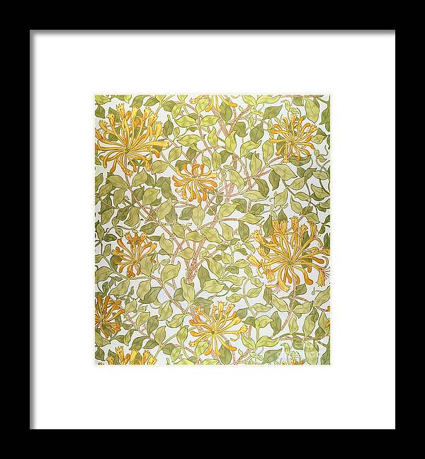 Arts And Crafts Movement; Floral; Pattern Framed Print featuring the painting Honeysuckle design by William Morris