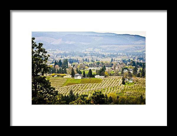 Orchards Framed Print featuring the photograph Hood River by Albert Seger